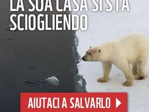 sabato-29-marzo-lora-della-terra