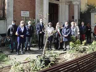 un-albero-di-melo-nel-giardino-martin-lutero