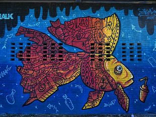 firenze-il-murale-di-skim-colora-il-parco-di-san-donato