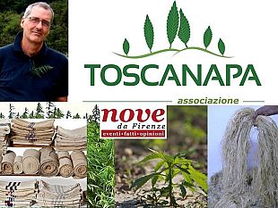 canapa-o-cannabis-non-chiamatela-marijuana-ecco-a-cosa-serve