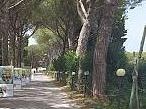 torna-festambiente-a-rispescia-dal-19-al-23-agosto