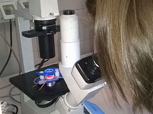 metodi-sostitutivi-alla-sperimentazione-animale