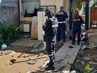 salvati-sei-cani-maltrattati-bevevano-lacqua-del-water