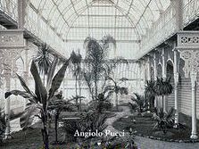 pubblicato-il-volume-v-dei-giardini-di-firenze-di-angiolo-pucci