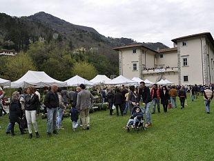 enoturismo-avviate-le-consultazioni-per-una-nuova-normativa-per-il-comparto