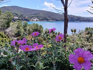 pasqua-2026-in-viaggio-per-una-toscana-inattesa