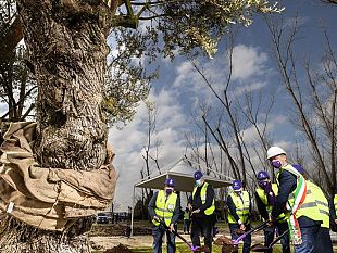 viola-park-coni-figc-e-lega-serie-a-stanno-con-la-fiorentina