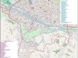 domenica-torna-corri-la-vita