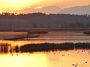 padule-di-fucecchio-lincanto-del-tramonto