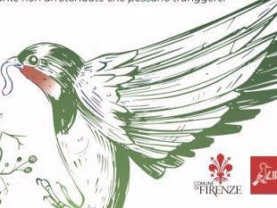 tutelare-rondini-rondoni-e-balestrucci