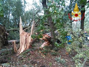 maltempo-in-toscana-esteso-a-domani-il-codice-arancione-per-pioggia-e-vento