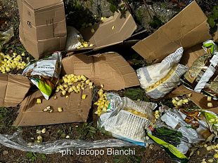 via-della-quiete-furgone-perde-surgelati