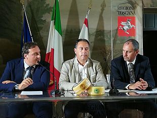 pecorino-toscano-6000-addetti-utile-anche-per-il-paesaggio