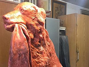 a-livorno-una-statua-per-ricordare-snoopy-ucciso-da-un-colpo-di-carabina