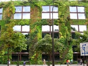 a903251923-teorie-e-pratiche-dell-arte-del-giardino-e-del-paesaggio-in-francia