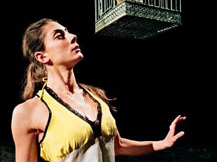 b005101930-fabbrica-europa-in-scena-lo-spettacolo-di-jan-fabre