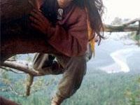 a909072109-a-firenze-arriva-julia-butterfly-hill