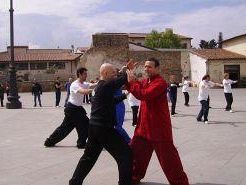 a704261318-giornata-mondiale-del-tai-chi-chuan-sabato-28-aprile