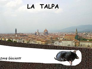 b205111458-la-regione-ammette-che-non-si-possono-trasportare-le-terre-scavate-dalla-talpa