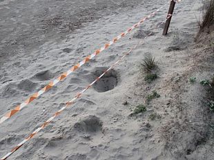 nate-elba-103-tartarughe-pegaso-ai-protagonisti-evento