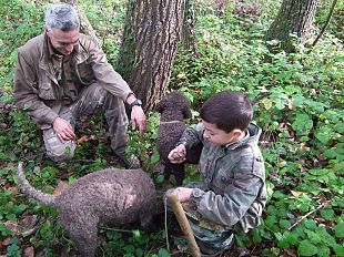 b311102300-la-28-edizione-della-mostra-mercato-del-tartufo-bianco-delle-crete-senesi