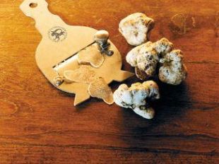 a809261412-mostra-nazionale-del-tartufo-bianco-di-san-miniato-nel-centro-storico-il-15-16-22-23-29-30-novembre-2008