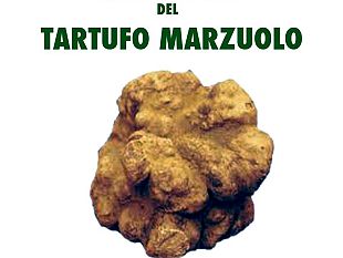 a803041459-certaldo-14-sagra-del-tartufo-marzuolo