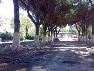 b105301557-la-tav-fiorentina-in-parlamento