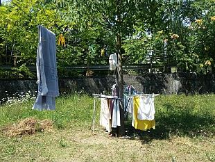 questua-molesta-multati-e-denunciati-due-falsi-mimi