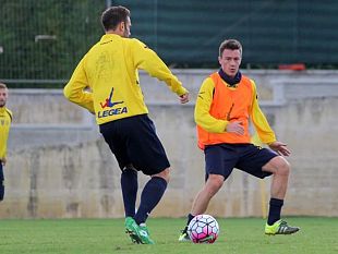 viola-al-bivio-in-ciociaria