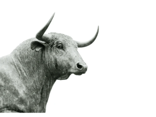 elementi-da-considerare-quando-si-cerca-un-broker-online