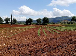 borgo-da-scoprire-terzo-appuntamento-il-30-agosto