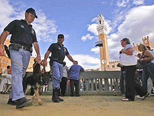la-moviola-nel-palio-introdotta-da-unazienda-fiorentina