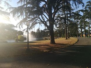 fortezza-da-basso-la-comunita-filippina-in-prima-fila-a-pulire-i-giardini