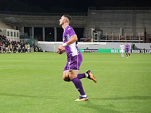 i-viola-in-campo-a-vienna-3-5-2-attacco-dzeko-piccoli