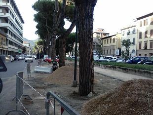 cede-manto-stradale-in-via-lungo-laffrico