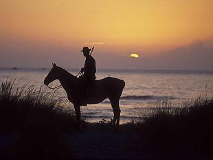 da-roma-alla-maremmaa-piedi-a-cavallo-in-bicicletta