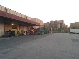 nuovo-stadio-via-la-mercafir-operatori-in-imbarazzo