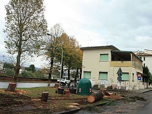 tramvia-322-verso-rovezzano-polemica-sugli-alberi