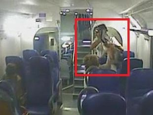 santa-maria-novella-furto-sul-treno-ripreso-da-telecamere-foto