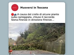 alberi-caduti-sullautopalio-traffico-deviato
