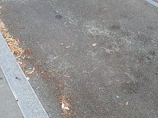 spaccati-i-vetri-delle-auto-nel-viale-spartaco-lavagnini