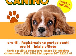 il-cane-piu-simpatico-concorso-a-firenze
