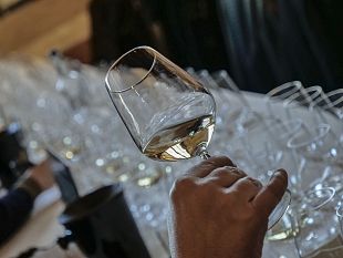 vernaccia-di-san-gimignano-nellanno-di-dante