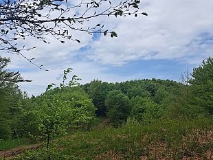 danni-ai-mezzi-dopera-nel-corso-di-due-violente-irruzioni