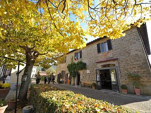 fattoria-santo-stefano-vino-olio-e-liberta