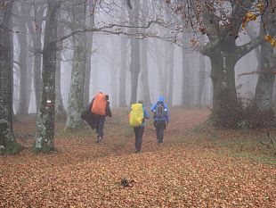 parco-foreste-casentinesi-turisti-affezionati-e-digitali
