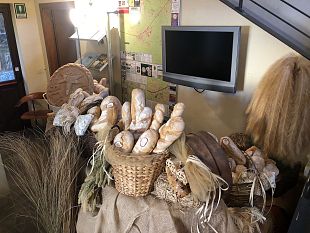 nasce-le-vie-del-pane-per-promuovere-altopascio-in-italia-e-nel-mondo