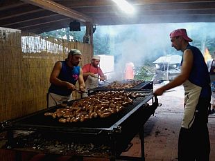 apericiccia-a-chiusi-della-verna