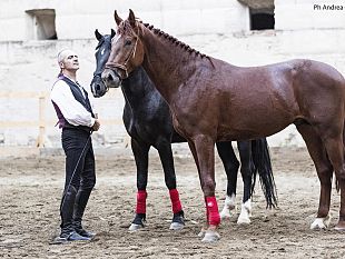 lantica-fiera-di-mezzagosto-si-terra-il-15-29-30-e-31-agosto